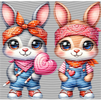 Valentine's Day-QRJ  2348